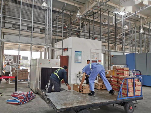 日照機(jī)場貨運(yùn)站與順豐速運(yùn)攜手，護(hù)航櫻桃季高效運(yùn)輸